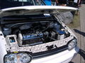 GTI-Treffen 08 40079507