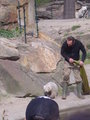 Zoologischer Tiegarten Berlin 18019900