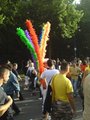 CSD 2007 22219869