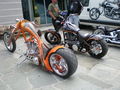 Harley Treffen 2008 38682052