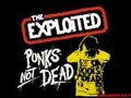 The Exploited 19849525