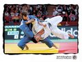 Judo 16900453