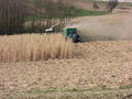 Miscanthus Ernte 2008 52854963