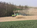 Miscanthus Ernte 2008 52855012