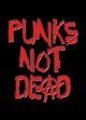 punk 22720079