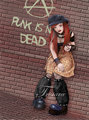 punk 22720080