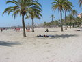 Siesta a Mallorca 28027233