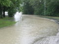 Hochwasser 2009 Enns und Sankt Nikola 67308444