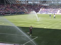 Red Bull Salzburg-Rapid Wien 20.Mai 2007 20172116