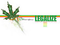 REGGAE-RASTA 16951481