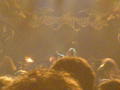 Metalfest Finntroll 31675151