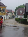 HOCHWASSER 24.6.09. 61832108