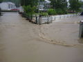 HOCHWASSER 24.6.09. 61832111