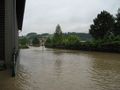 HOCHWASSER 24.6.09. 61947146