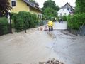 HOCHWASSER 24.6.09. 61947149