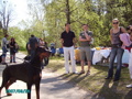 Hundeausstellung .. 32006733