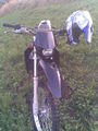My MopEd 45992384