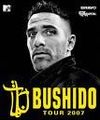 >>BUSHIDO 41029798