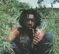 Peter Tosh 41033967