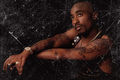 Tupac Shakur 41106429