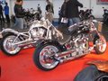 Biker-Messe Wels 31 März - 01 April 17709165