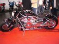 Biker-Messe Wels 31 März - 01 April 17709178