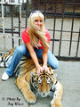 Tigertreffen =) 20274131