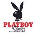 playboy 17366027