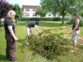 Maibaum umschneiden 21401512