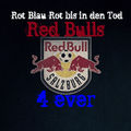 Red Bull Salzburg 54728618