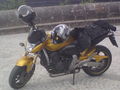 Honda hornet 600 :-))))) 62811014