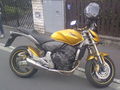 Honda hornet 600 :-))))) 62818112