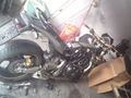 Honda hornet 600 :-))))) 72041620