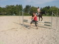 mY hOrSe ... ? 46141389