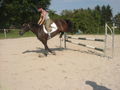 mY hOrSe ... ? 46141407