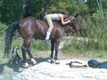 mY hOrSe ... ? 46437391