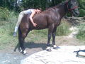 mY hOrSe ... ? 46437583