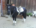 mY hOrSe ... ? 48045946