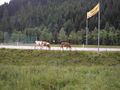 Tirol 2008 41463897