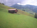 Tirol 2008 41463922