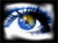 ~*~mOjA_BoSnA~*~ 22539886