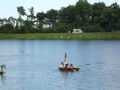 sautrog regatta schmidi und schweitzer 63842406