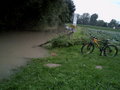 Hochwasser 2007 in Naarn und Au 27670659