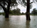 Hochwasser 2007 in Naarn und Au 27670812