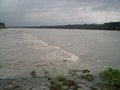 Hochwasser 2007 in Naarn und Au 27670841