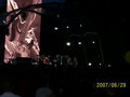 red hot chili peppers - konzert  22569173