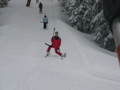 Skiurlaub Abtenau 07 31502129