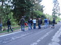 Maibaum aufstellen 2009 58929334