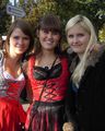 Oktoberfest 2008 46065219