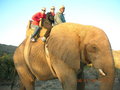 South Africa VI - Familie zu Besuch! 24156589